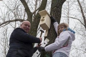 Благоустройство такое