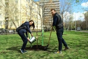 Глава управы Хамовники научил местных жителей сажать деревья. Фото: "Вечерняя Москва"