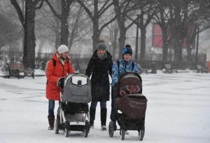 Фото: "Вечерняя Москва"