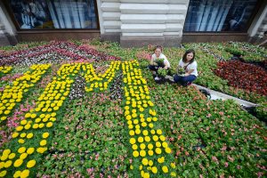  Фото: "Вечерняя Москва"