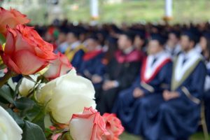 Из этого числа порядка 350 выпускникам вручили диплом с отличием. Фото: pixabay.com