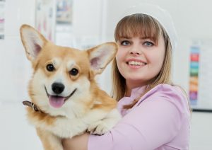 Ежегодно Комитет ветеринарии города Москвы обеспечивает проведение бесплатной массовой вакцинации домашних животных против бешенства. Фото: пресс-служба префектуры ЦА