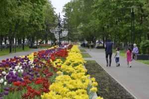 Этим летом в столице вырастили более шести миллионов цветов. Фото: Анна Быкова, «Вечерняя Москва»