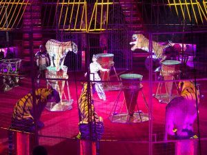 Представления для первоклассников организовали Цирке Никулина на Цветном бульваре. Фото: Мария Иванова, «Вечерняя Москва»