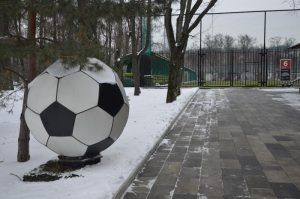 Новогодний кубок по мини-футболу организуют для жителей района. Фото: Анна Быкова