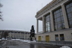  Здание центров самбо и бокса в «Лужниках» отстроили на 74 процента. Фото: Анна Быкова