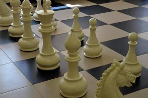 Межконфессиональный турнир по шахматам состоится в районе. Фото: Анна Быкова