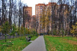 В рамках программы реновации возле канала имени Москвы появится парк. Фото: Анна Быкова
