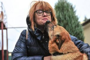 Волонтеры провели более 4000 часов на прогулках с собаками пенсионеров. Фото: Пелагия Замятина, «Вечерняя Москва»