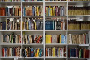 В столичных библиотеках стартовала онлайн-программа летнего чтения 