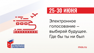 Электронное голосование по поправкам в Конституцию РФ будет доступно для москвичей и жителей Нижегородской области