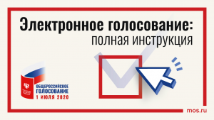 Москвичам обеспечат анонимность и прозрачность в ходе дистанционного голосования