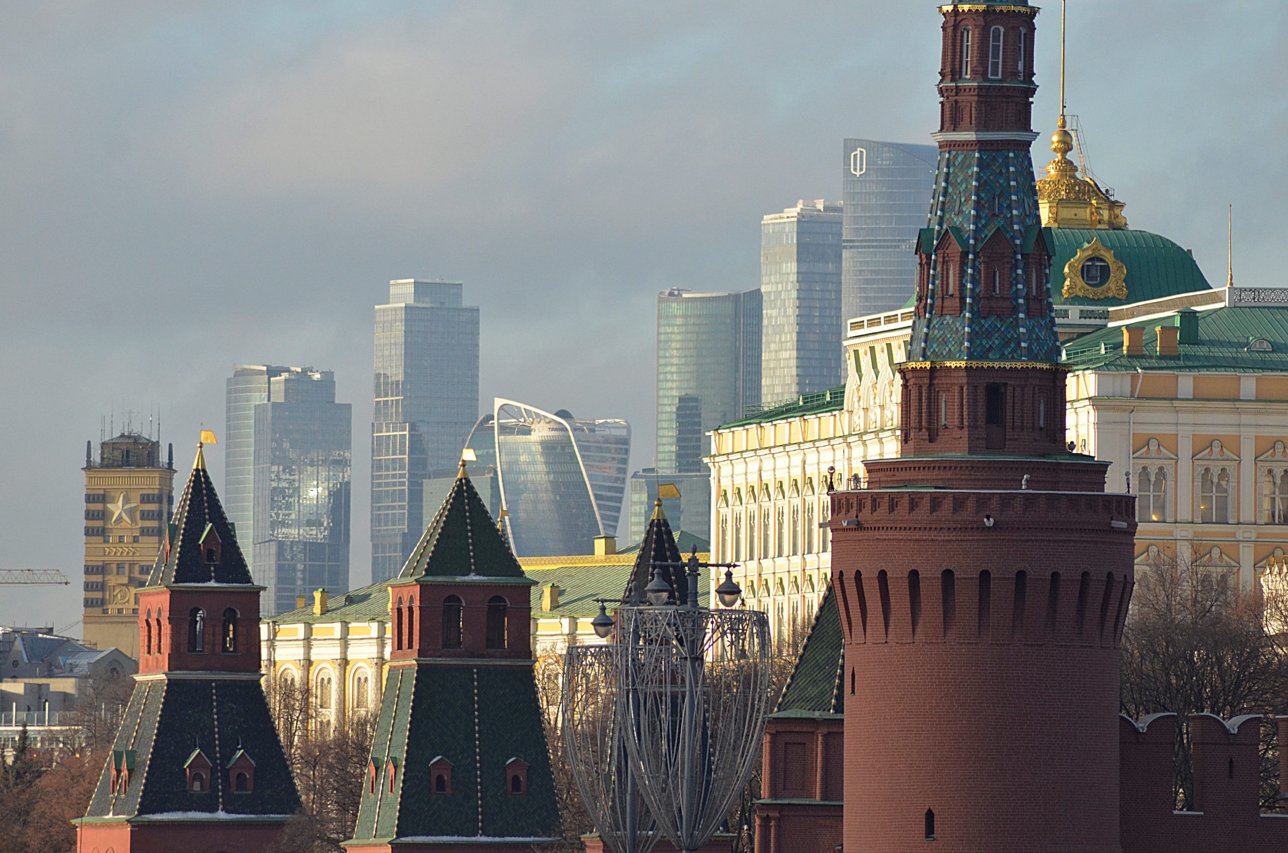 Что растет в москве