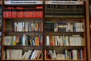 Психологический семинар проведут в библиотеке имени Викентия Версаева. Фото: Анна Быкова