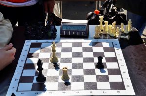 Занятие шахматами организуют в районе. Фото: Анна Быкова