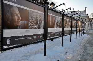 Выставка портретов бездомных открылась на территории района. Фото: Анна Быкова