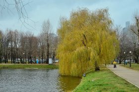 Парк «Усадьба Трубецких» вошел в подборку от Russpass. Фото: Анна Быкова, «Вечерняя Москва»