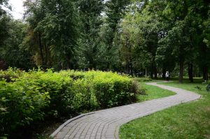 Пленэр от сотрудников библиотеки №5 состоится в районе Хамовники. Фото: Анна Быкова, «Вечерняя Москва»