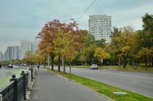 Подведены итоги работы московского управления ФНС за девять месяцев 2025 года. Фото: Анна Быкова, «Вечерняя Москва»