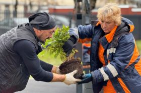 Первый этап озеленения завершился в Хамовниках. Фото: страница управы района Хамовники в социальных сетях