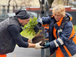 Первый этап озеленения завершился в Хамовниках. Фото: страница управы района Хамовники в социальных сетях