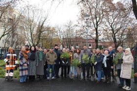 Высадку многолетних растений провели в районе. Фото: страница Префектуры ЦАО города Москвы в социальных сетях