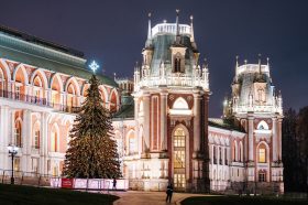 Высокую ель поставили в «Лужниках». Фото: пресс-служба комплекса городского хозяйства Москвы