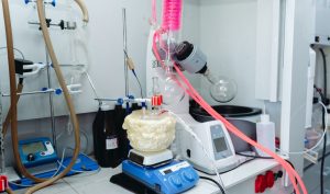 Новый полимер разработали сотрудники Сеченовского Университета. Фото: сайт Сеченовского Университета