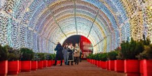 Световые тоннели на Фрунзенской набережной: праздничная иллюминация стала технологичнее. Фото: пресс-служба комплекса городского хозяйства Москвы