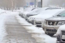 Более 19 тысяч раз оплатили парковку в «Лужниках» через приложение за год. Фото: Анна Быкова, «Вечерняя Москва»