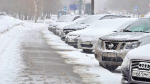Более 19 тысяч раз оплатили парковку в «Лужниках» через приложение за год. Фото: Анна Быкова, «Вечерняя Москва»