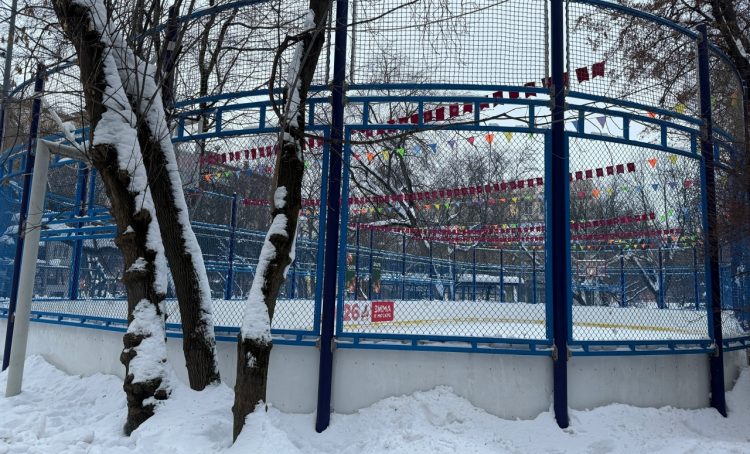 Сотрудники управ района рассказали о катках в «Хамовниках». Фото: страница управы района Хамовники в социальных сетях