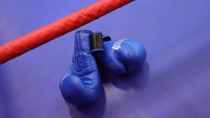 Первенство Москвы по боксу среди юниорок пройдет в районе. Фото: Анатолий Цымбалюк, «Вечерняя Москва»