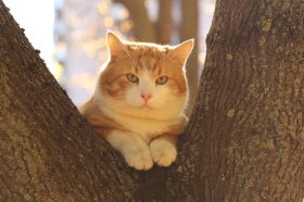 Интерактивное занятие состоится в библиотеке №4. Фото: Анатолий Цымбалюк, «Вечерняя Москва»